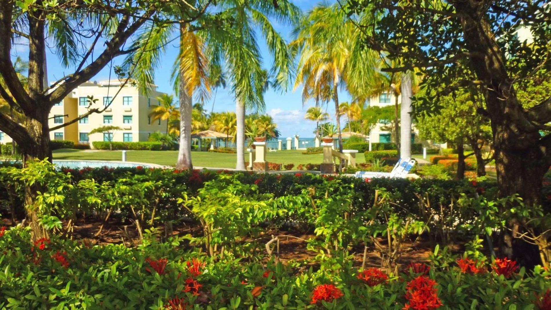Sandy Cove ريو غراندي المظهر الخارجي الصورة